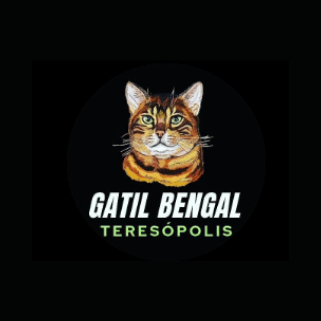 Gatil Bengal Teresópolis